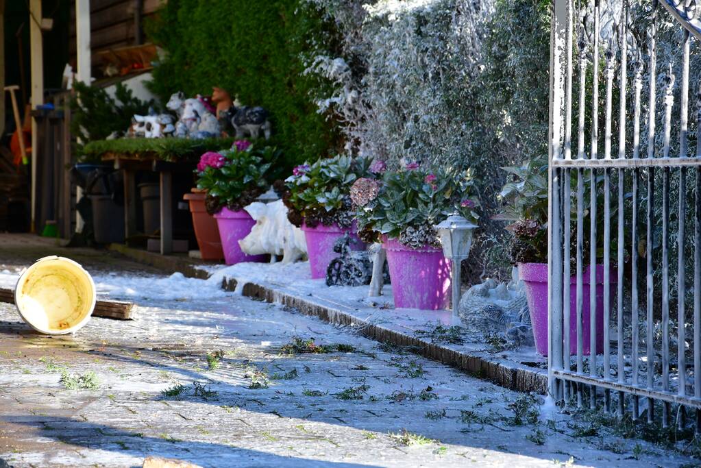 Heg vliegt in brand door onkruidbrander in de Landerijen