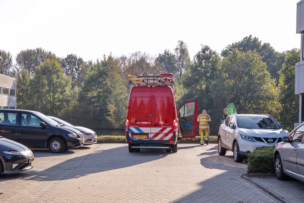 Gewonde zwaan laat zich niet vangen