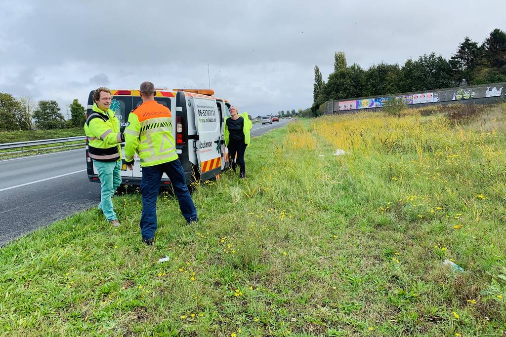 Zwaan dood na aanrijding op snelweg