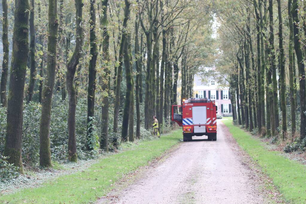 Veel rook bij flinke brand in houtbedrijf