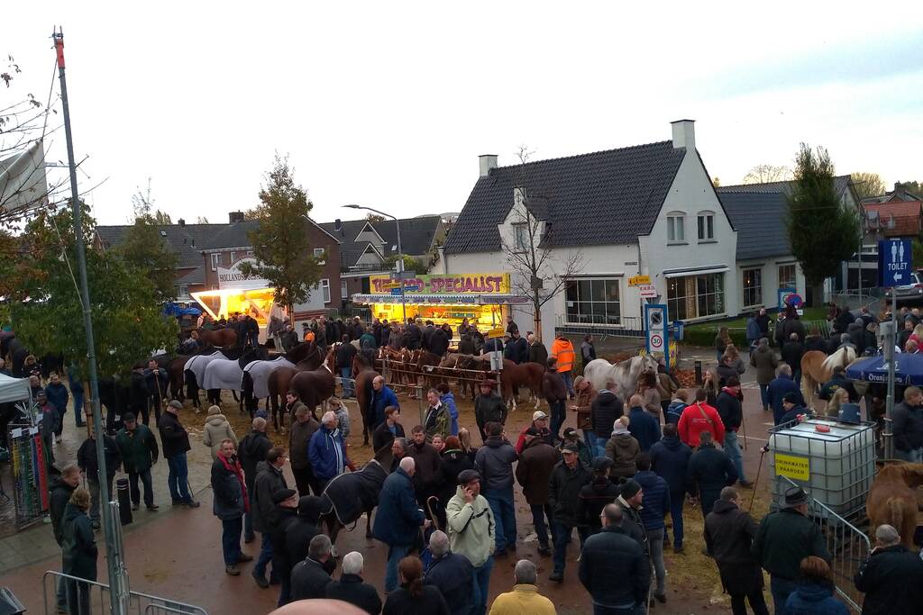 300e paardenmarkt