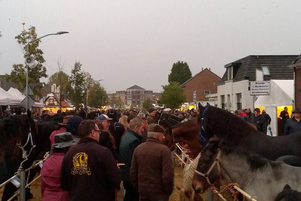 300e paardenmarkt