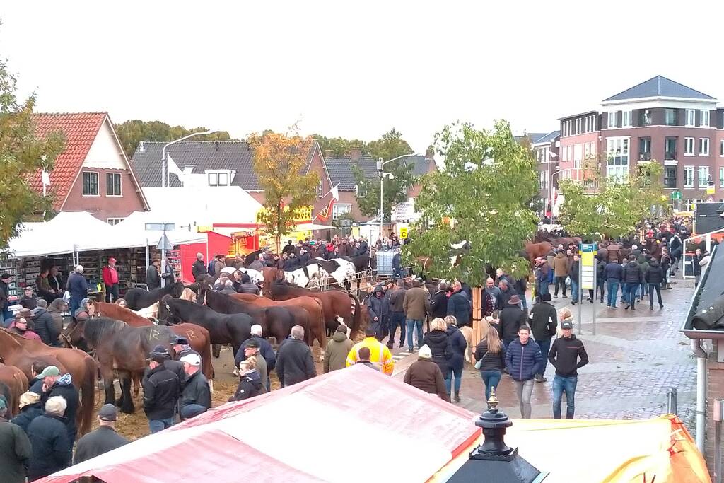 300e paardenmarkt