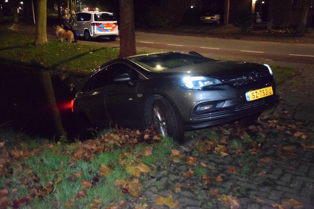 Personenauto belandt in sloot