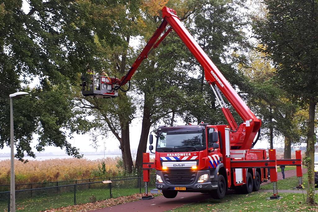 Brandweer doet nog een poging om kat uit boom te halen
