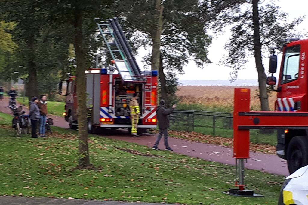 Brandweer doet nog een poging om kat uit boom te halen