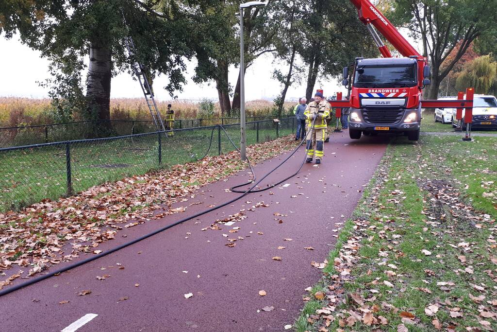 Brandweer doet nog een poging om kat uit boom te halen