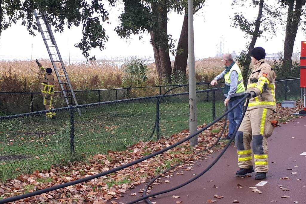 Brandweer doet nog een poging om kat uit boom te halen