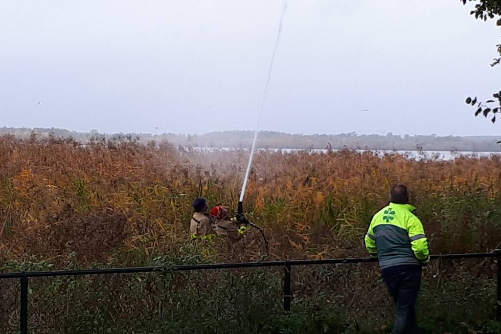 Brandweer doet nog een poging om kat uit boom te halen