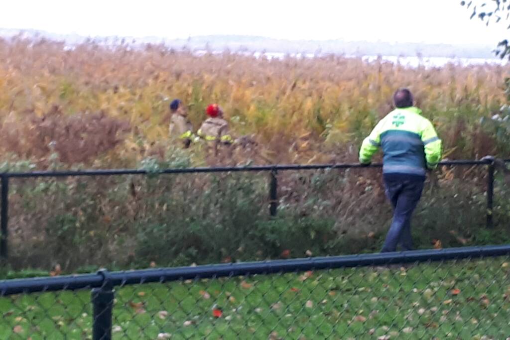 Brandweer doet nog een poging om kat uit boom te halen