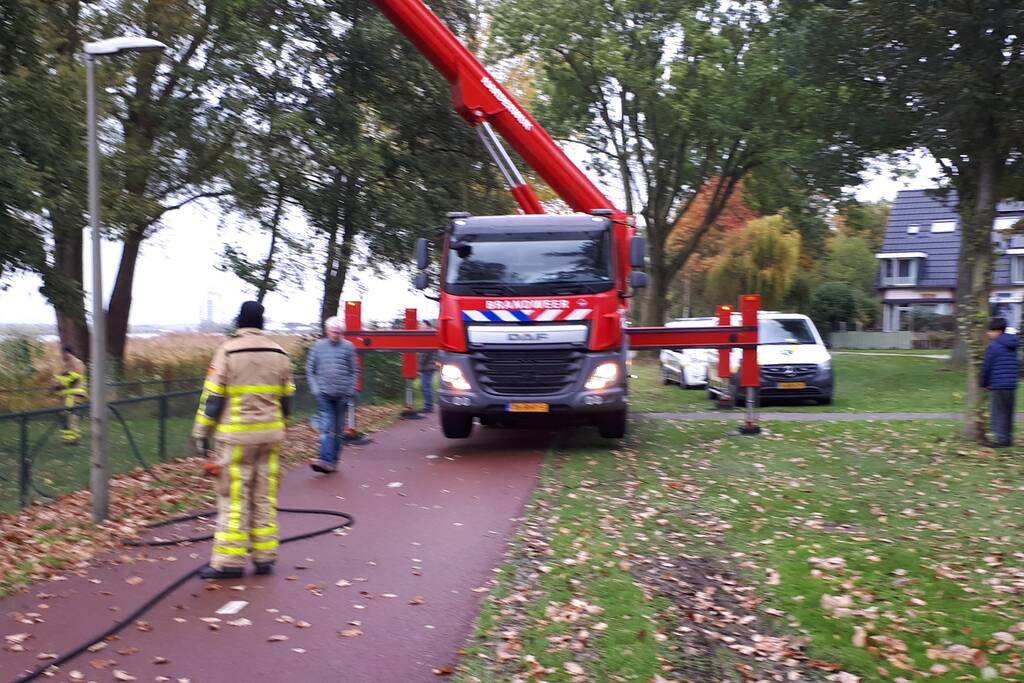 Brandweer doet nog een poging om kat uit boom te halen