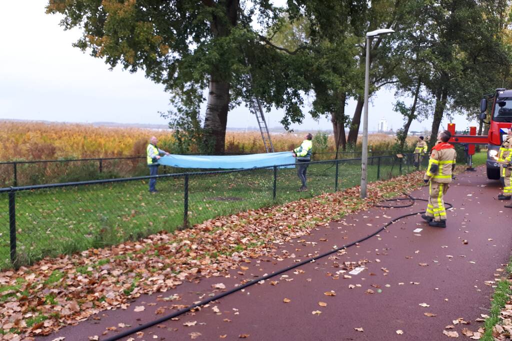 Brandweer doet nog een poging om kat uit boom te halen