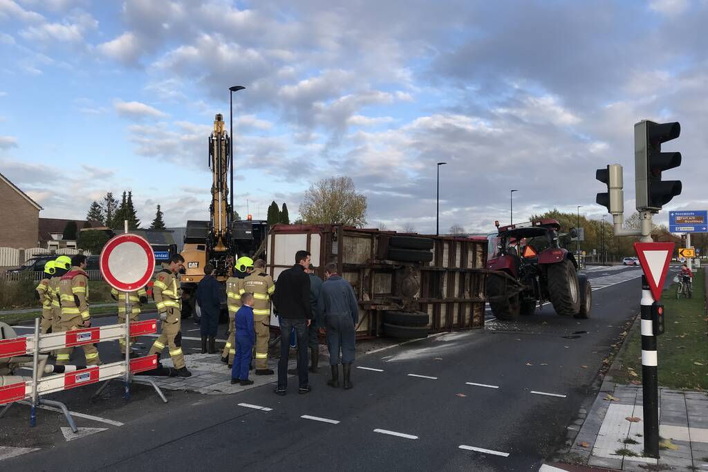 Trailer van tractor met koeien kantelt