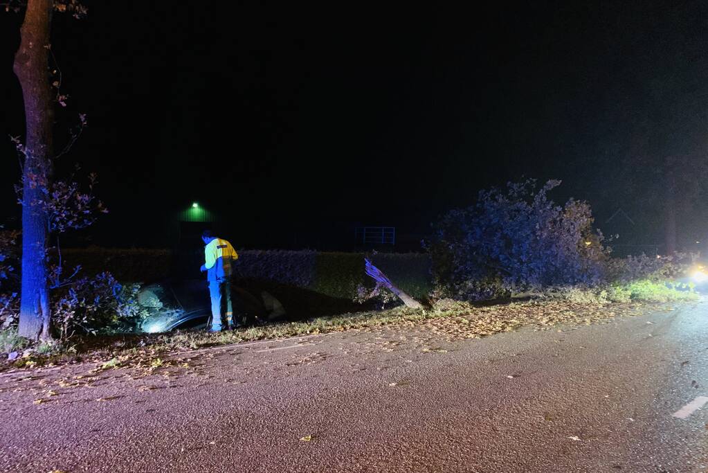 Auto ramt meerdere bomen en belandt in sloot