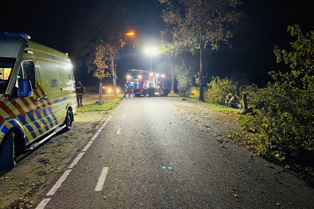 Auto ramt meerdere bomen en belandt in sloot