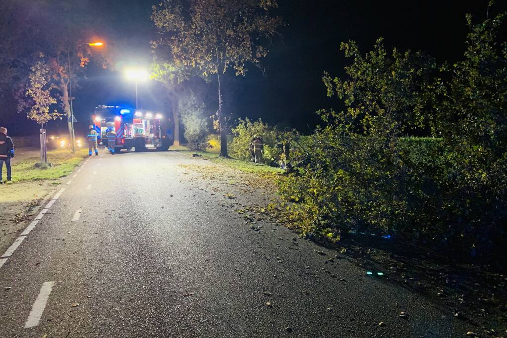 Auto ramt meerdere bomen en belandt in sloot