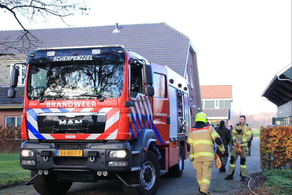 Brandweer spuit kat 'Jochie' uit de boom