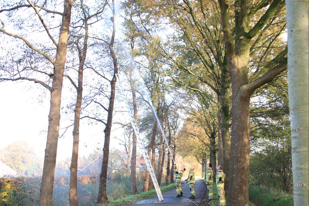 Brandweer spuit kat 'Jochie' uit de boom