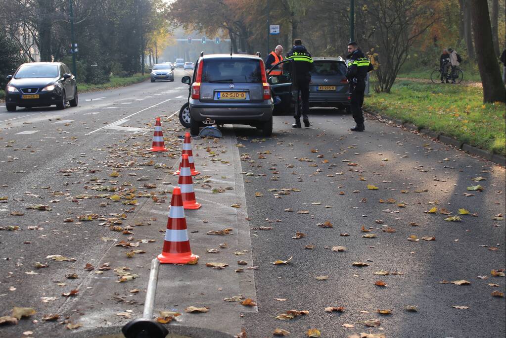 Verkeersborden tegen de vlakte, bestuurster met de schrik vrij