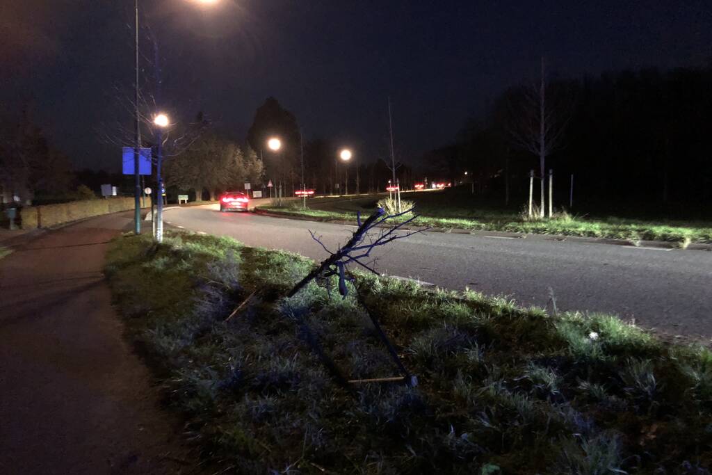 Auto vliegt uit bocht en rijdt tegen twee bomen