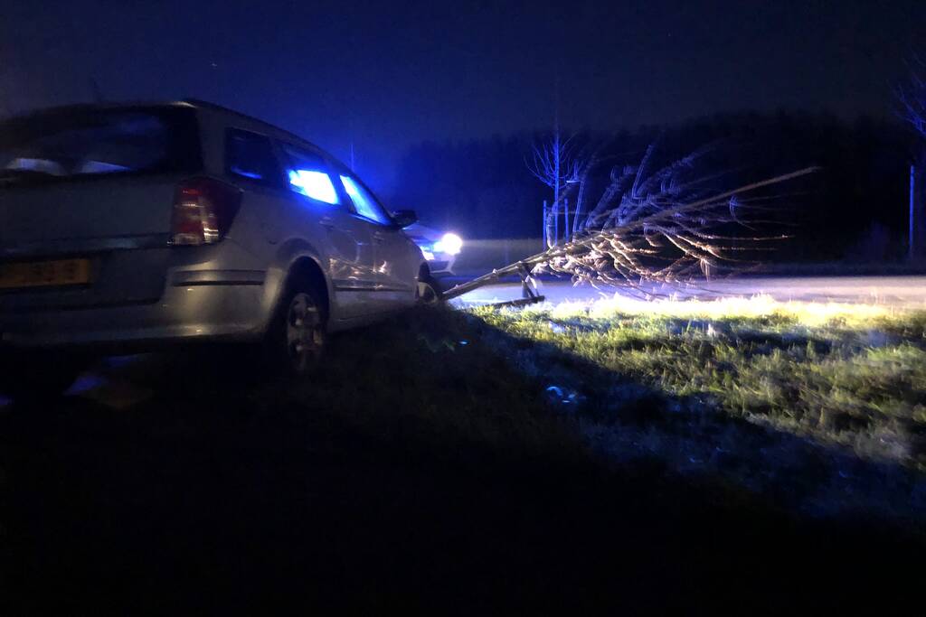 Auto vliegt uit bocht en rijdt tegen twee bomen