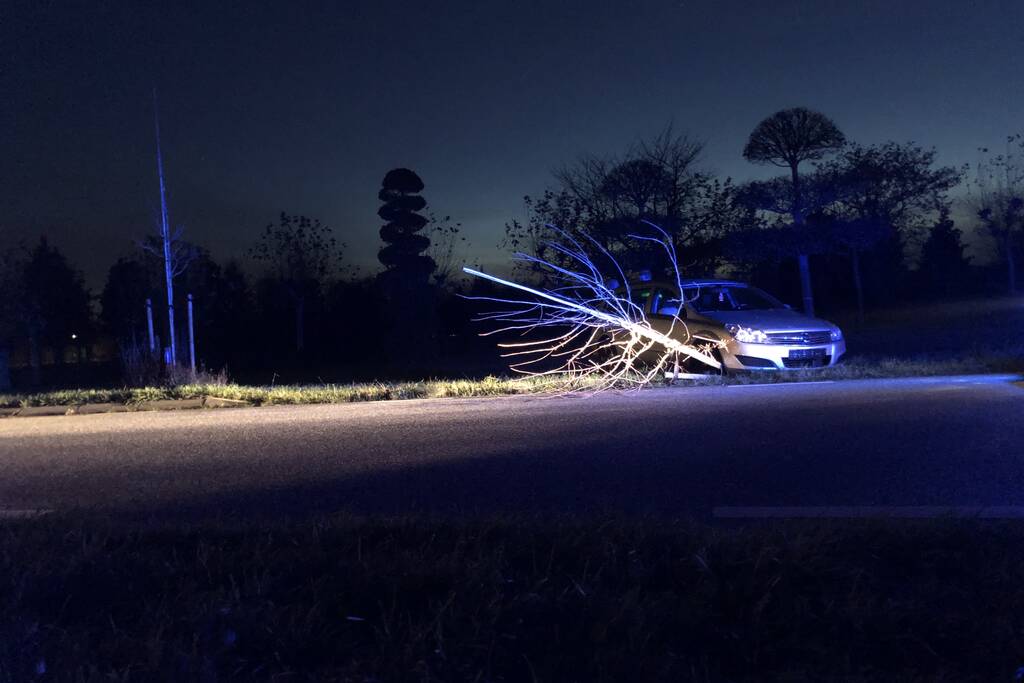 Auto vliegt uit bocht en rijdt tegen twee bomen