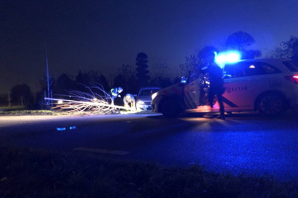 Auto vliegt uit bocht en rijdt tegen twee bomen