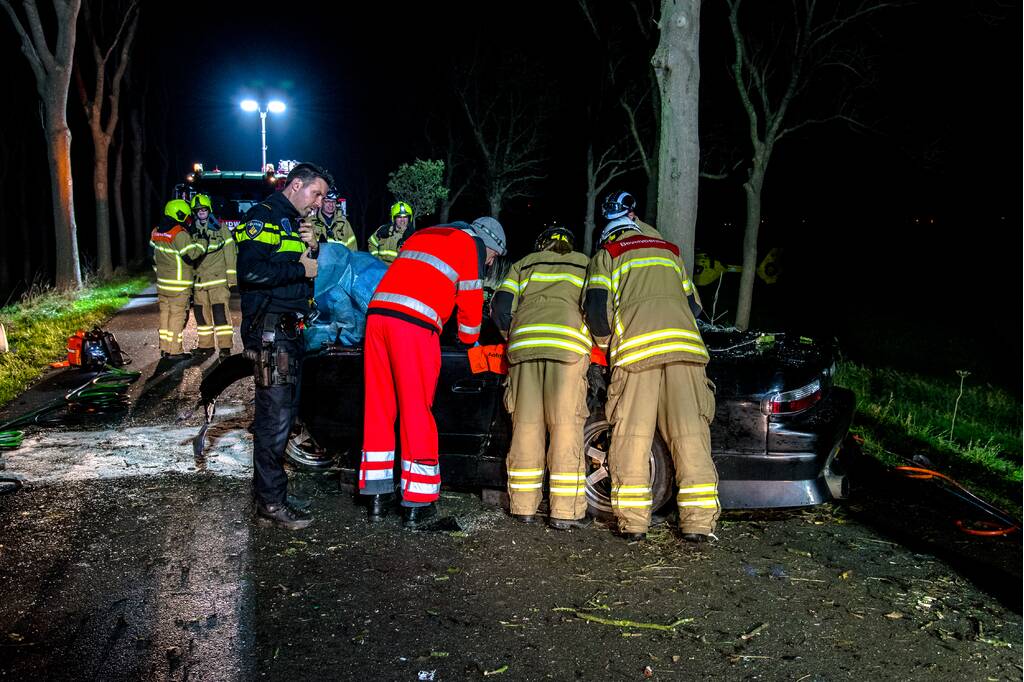 Zwaargewonde na eenzijdige botsing tegen boom