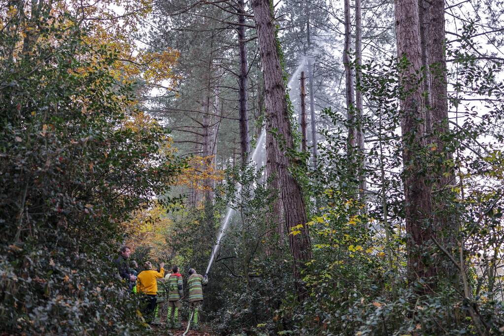 Kat Joep (4) geeft niet op