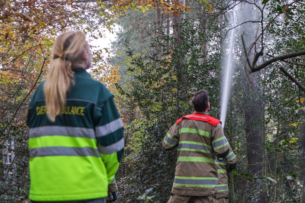 Kat Joep (4) geeft niet op