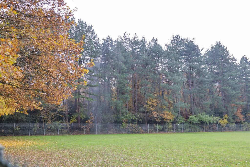 Kat Joep (4) geeft niet op