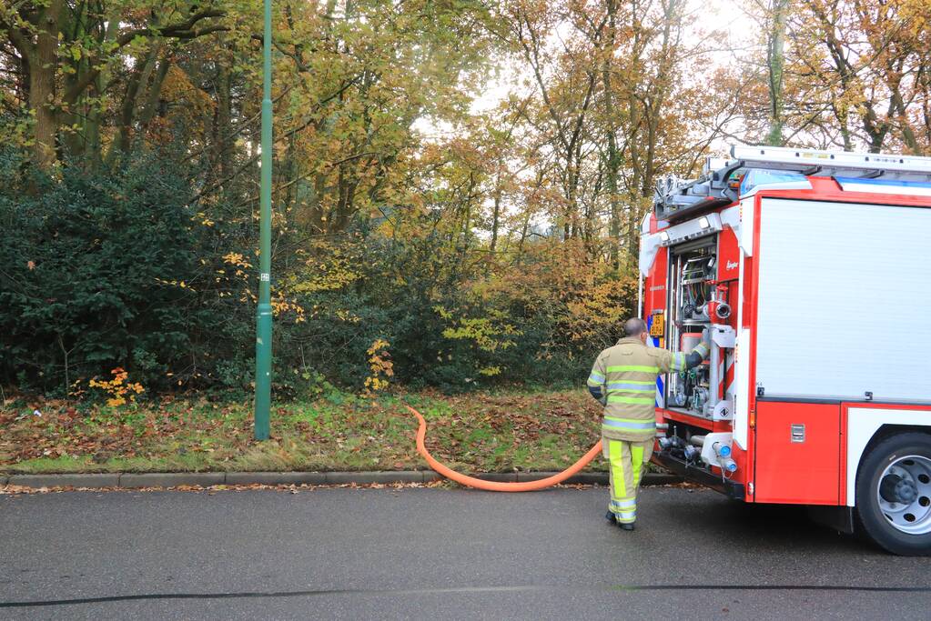 Kat Joep (4) geeft niet op