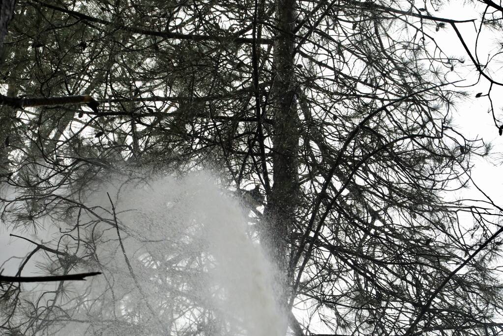 Kat Joep (4) geeft niet op