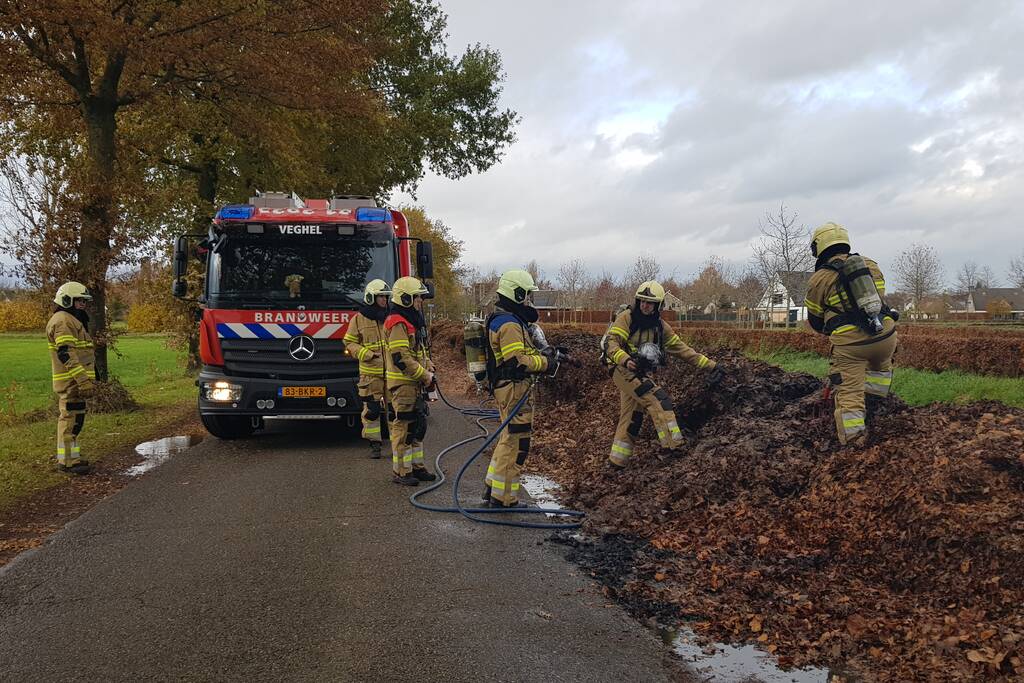Brand in herfstbladeren door broei