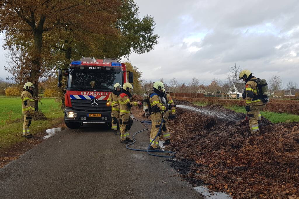 Brand in herfstbladeren door broei