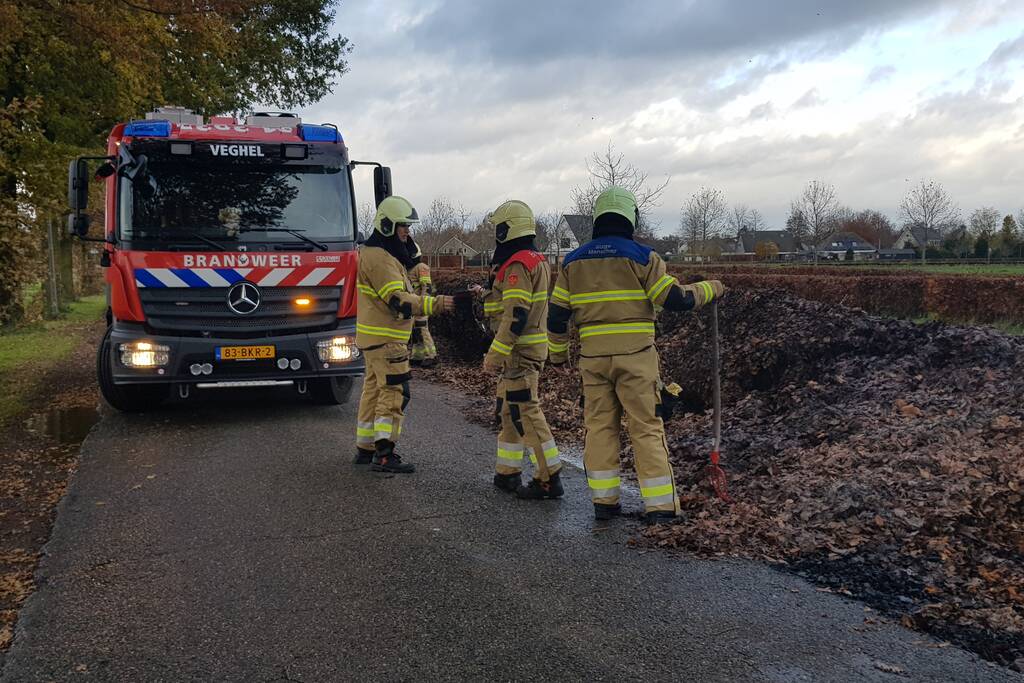 Brand in herfstbladeren door broei