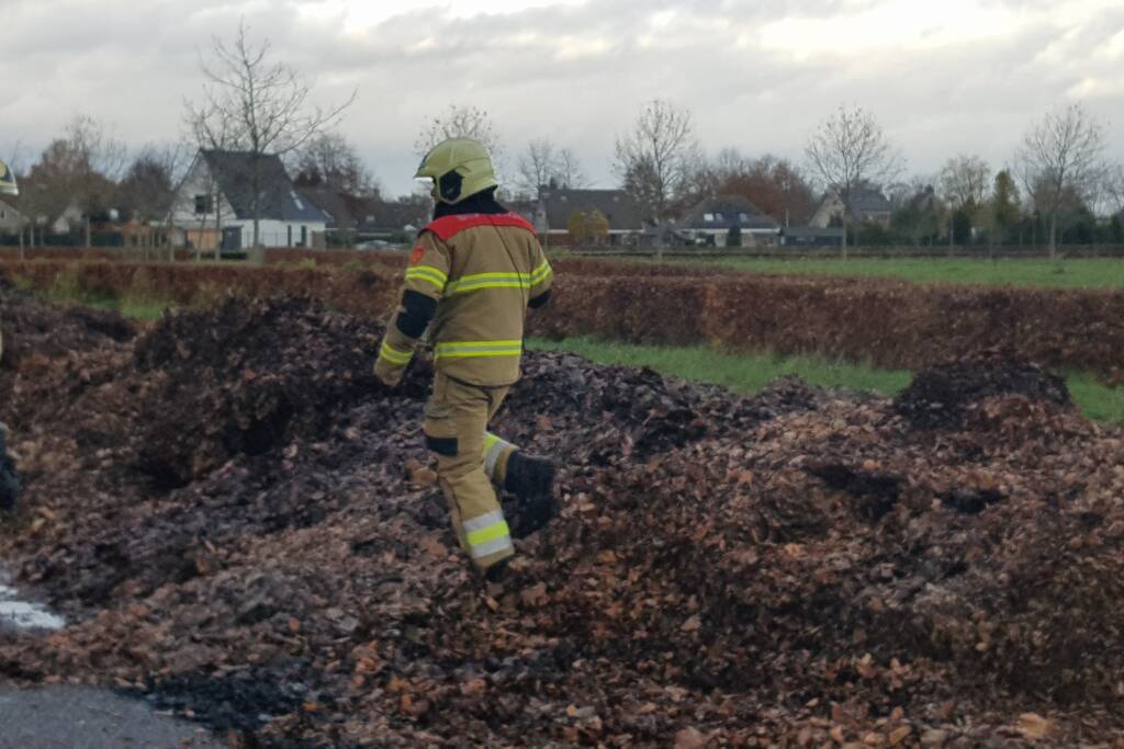 Brand in herfstbladeren door broei
