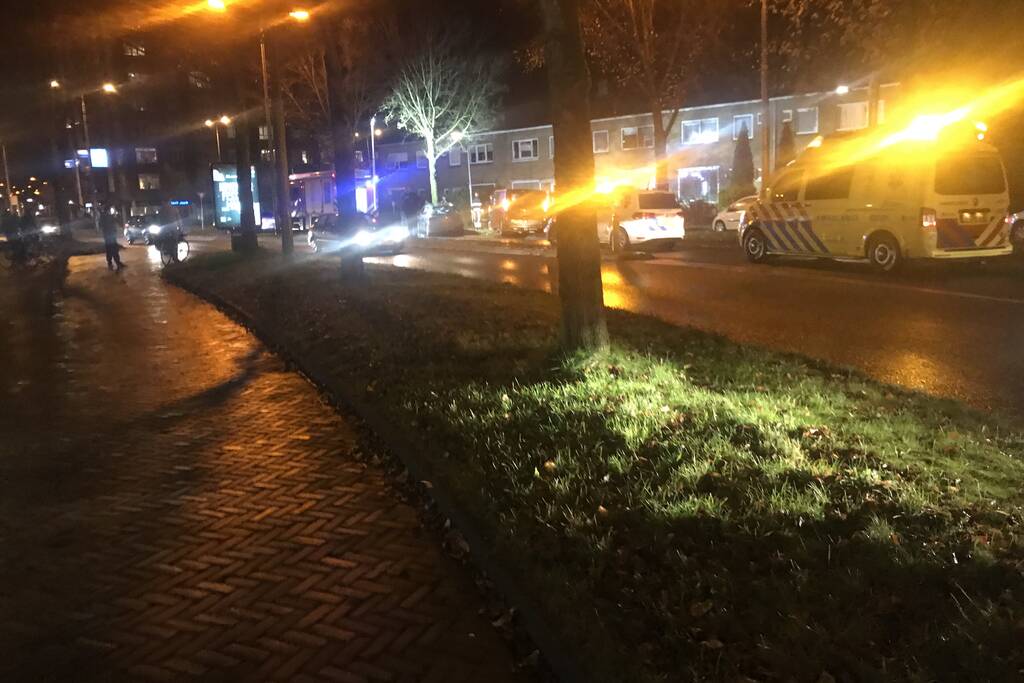 Auto botst frontaal op boom