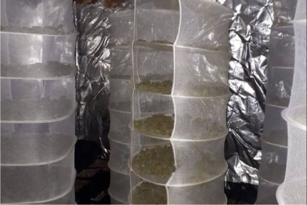 Hennepkwekerij in woning aangetroffen na tip