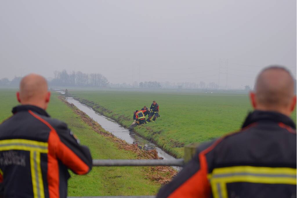 Brandweer redt schaap uit sloot
