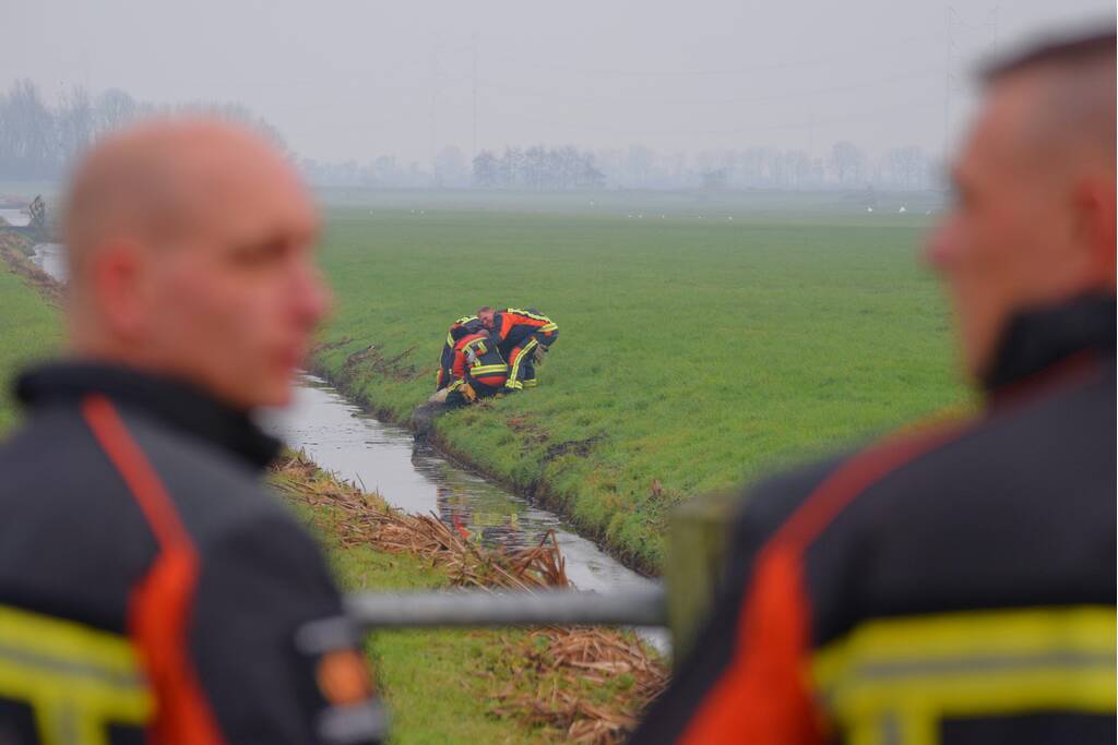 Brandweer redt schaap uit sloot