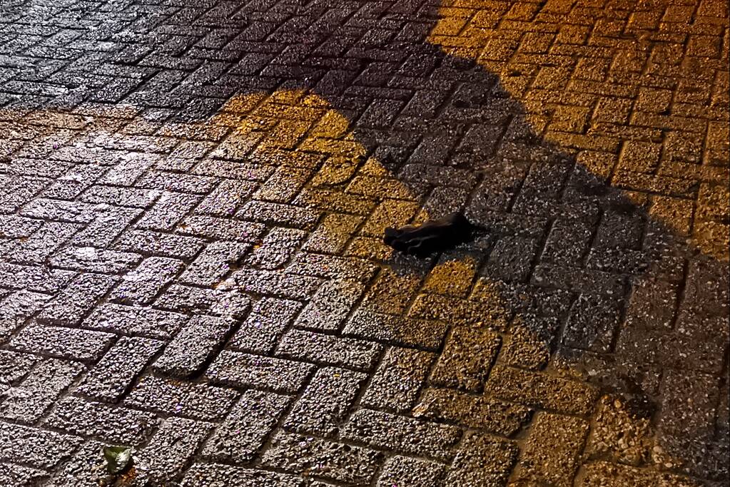 Plofkraak op pinautomaat van SNS Bank