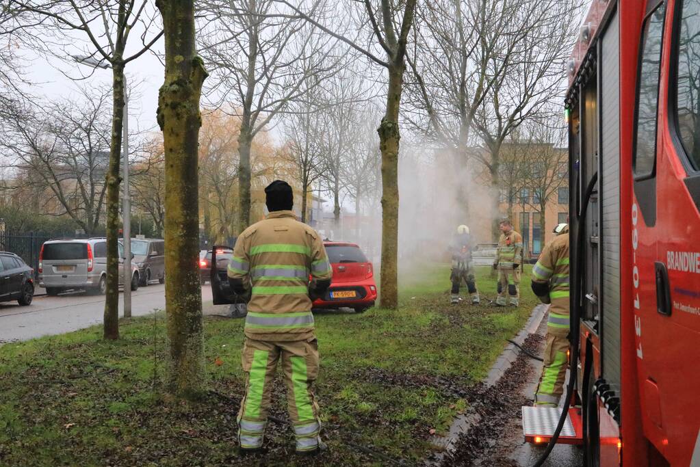 Auto botst op boom en vliegt in brand