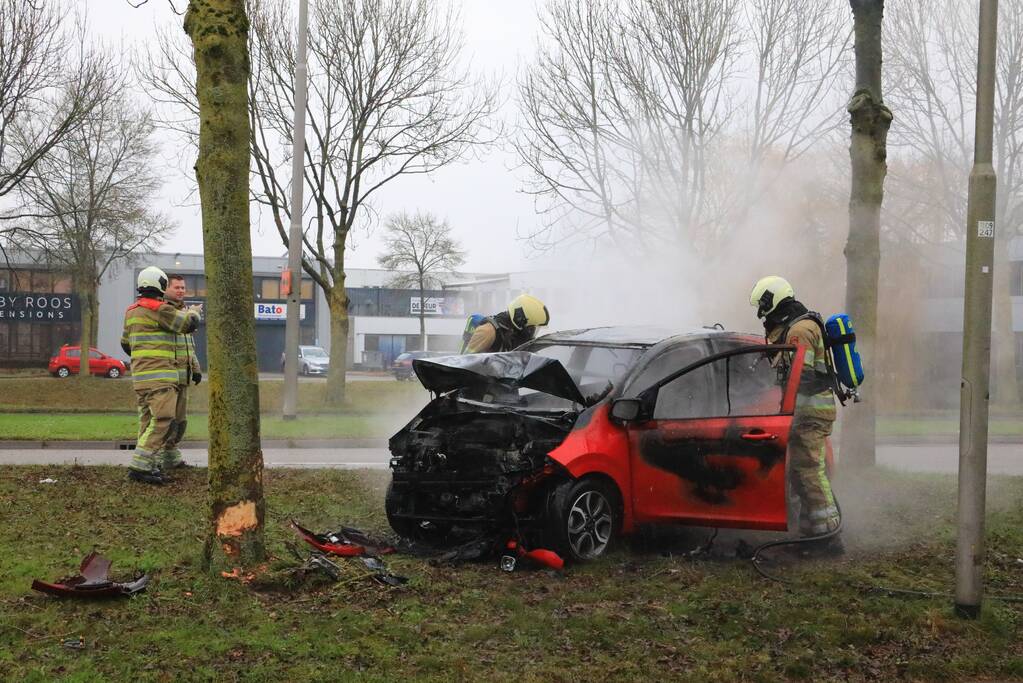 Auto botst op boom en vliegt in brand