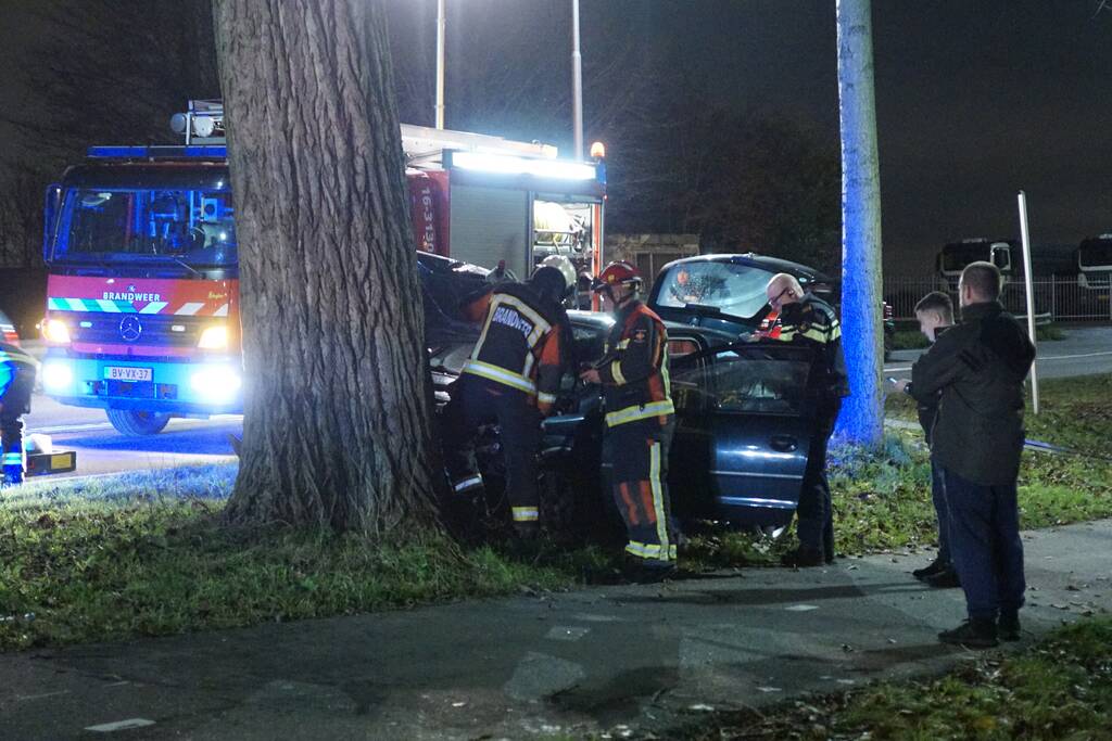 Inzittende auto gewond na botsing met boom