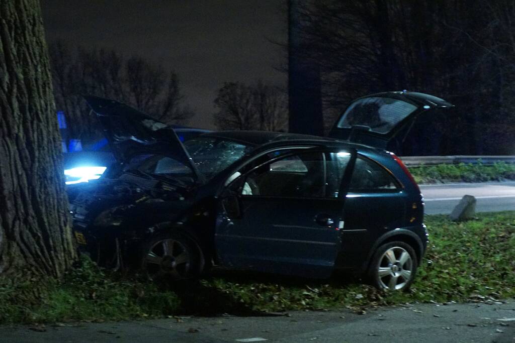 Inzittende auto gewond na botsing met boom