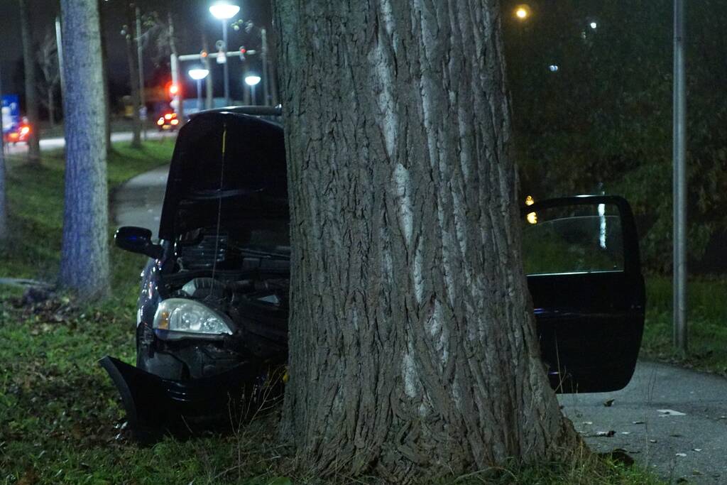 Inzittende auto gewond na botsing met boom