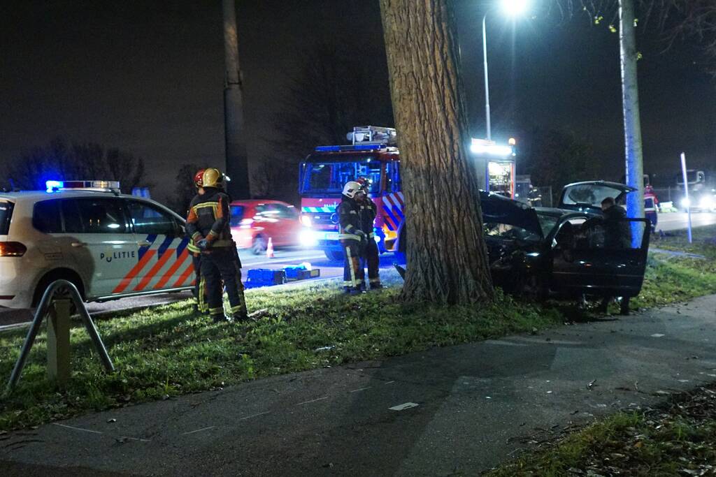 Inzittende auto gewond na botsing met boom