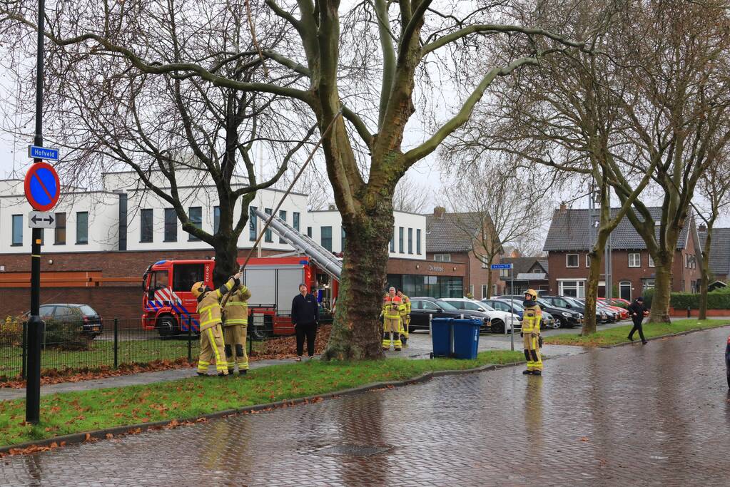 Brandweer haalt gevaarlijk loshangende takken uit boom