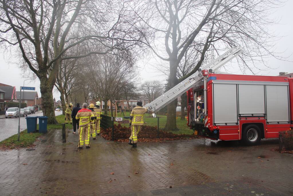 Brandweer haalt gevaarlijk loshangende takken uit boom